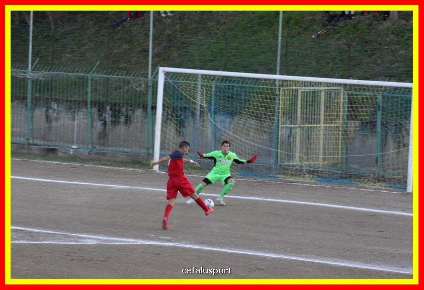181111 Cepha_Milazzo 095_tn.JPG